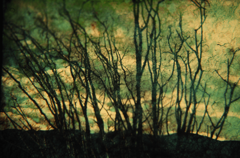 Natural Disasters 1c