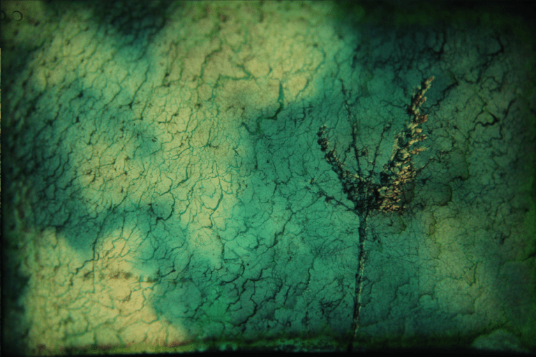 Screen Shot 2014-07-01 at 1.39.58 AM