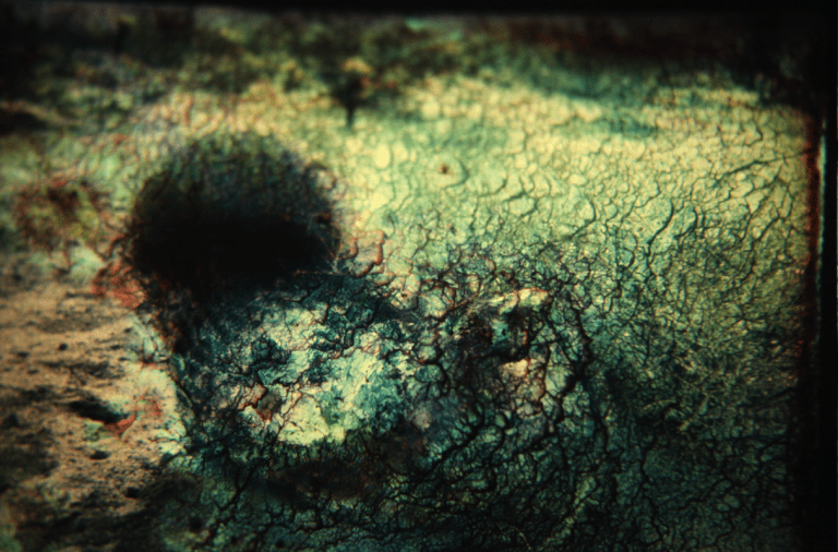 Natural Disasters 1a