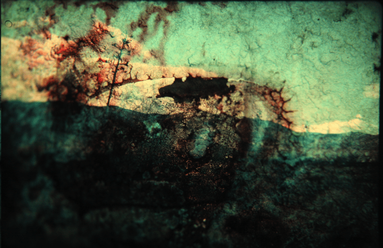 Natural Disasters 1d