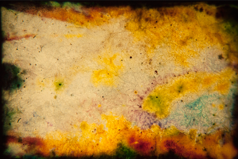 Natural Disasters 2a