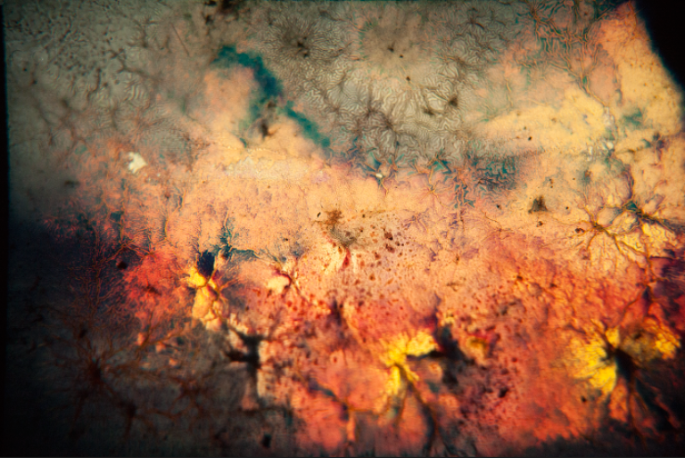 Natural Disasters 2d