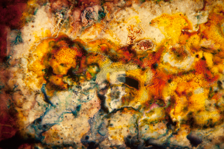 Natural Disasters 2c